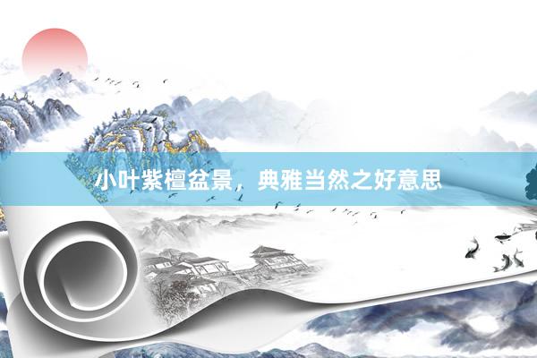 小叶紫檀盆景，典雅当然之好意思