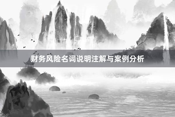 财务风险名词说明注解与案例分析